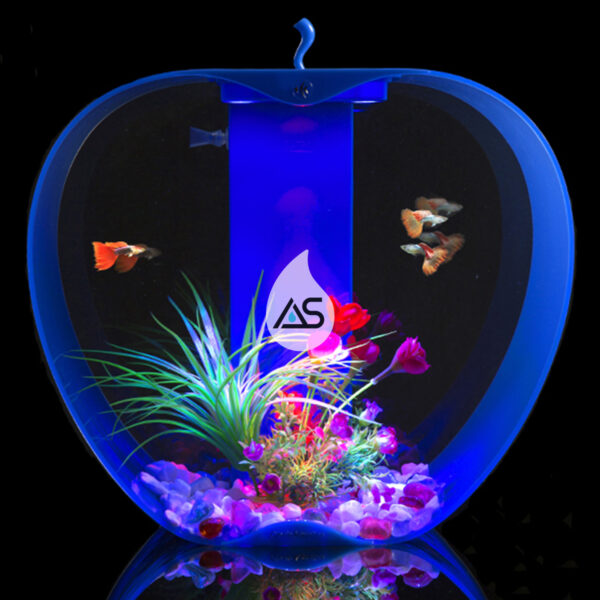 Acquario Apple Fruit