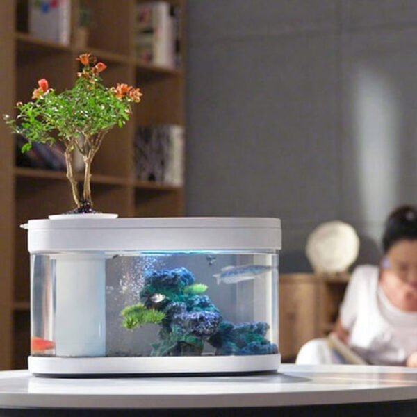 Acquari - Acqua Studio Design