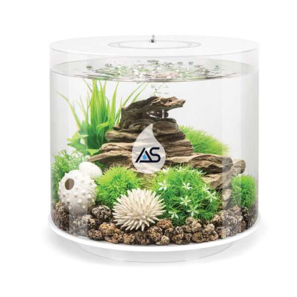 Acquario BiOrb 15 TUBE - immagine 5
