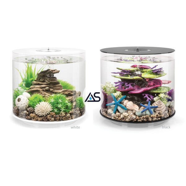 Acquario BiOrb 15 TUBE - immagine 6
