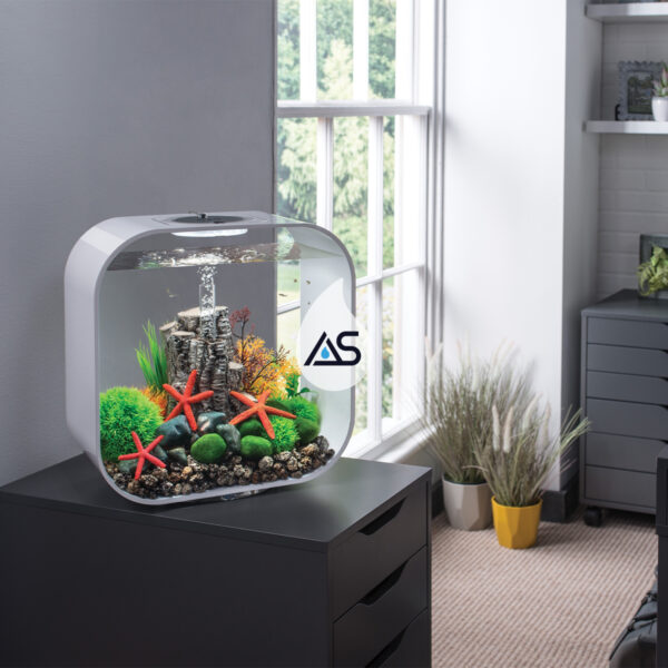 Acquario BiOrb 30 LIFE - immagine 5