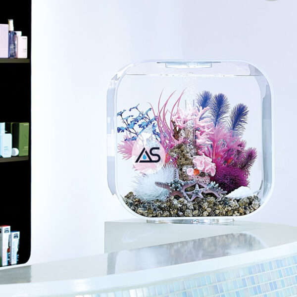 Acquario BiOrb 30 LIFE - immagine 3