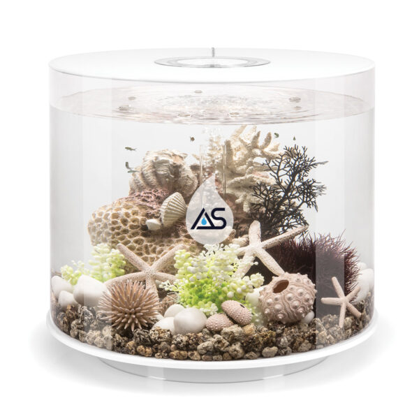 Acquario BiOrb 35 TUBE - immagine 4