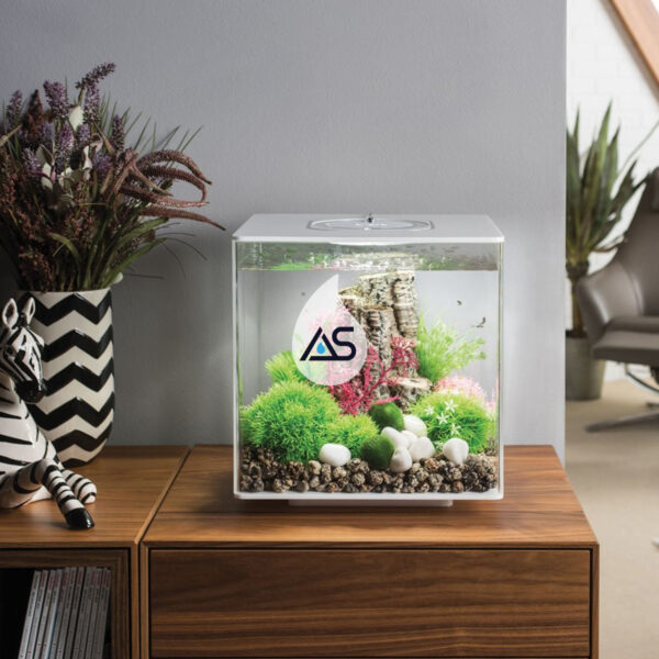 Acquario BiOrb 30 CUBE - immagine 2