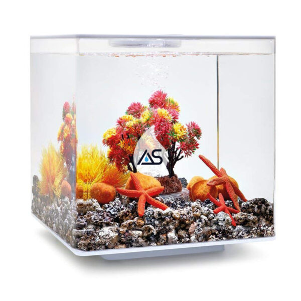 Kit biOrb Autunno 15 L - immagine 2