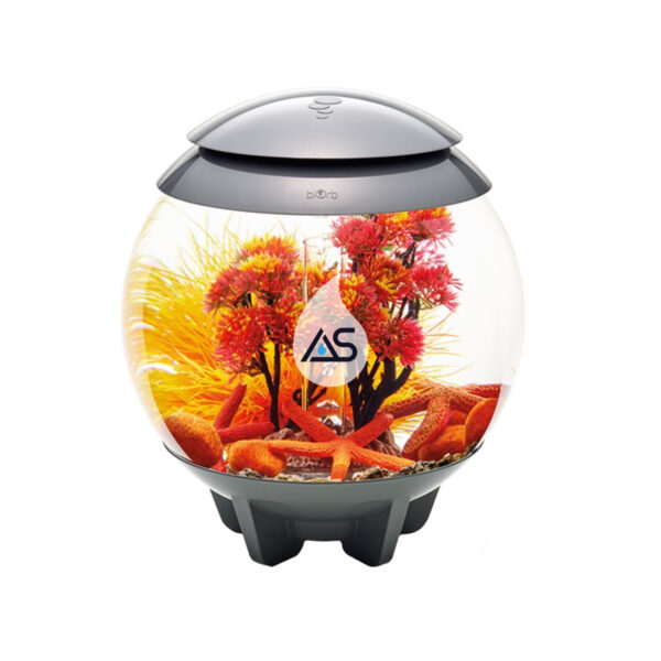 Kit biOrb Autunno 15 L - immagine 3