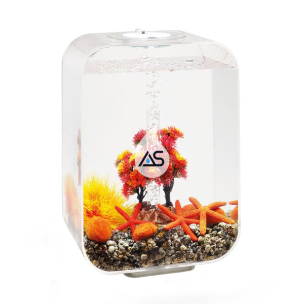 Kit biOrb Autunno 15 L - immagine 4