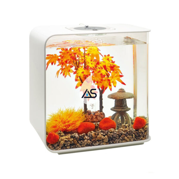 Kit biOrb Autunno 30 L - immagine 2