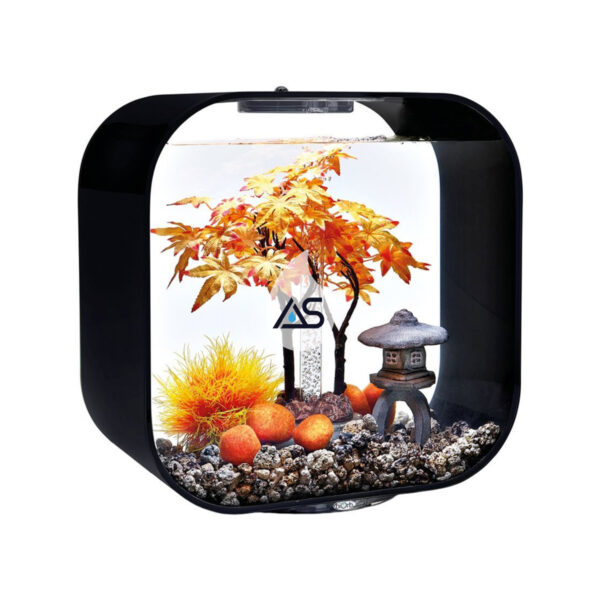 Kit biOrb Autunno 30 L - immagine 3