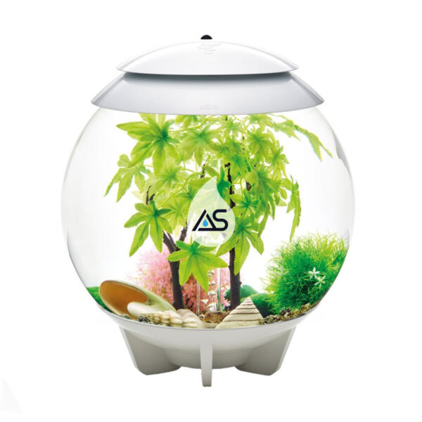Kit biOrb Estate 30 L - immagine 3