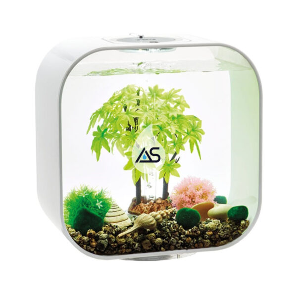 Kit biOrb Estate 30 L - immagine 2