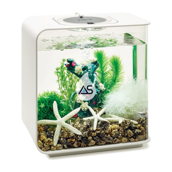 Kit biOrb Giardino Fiorito 15 L - immagine 3