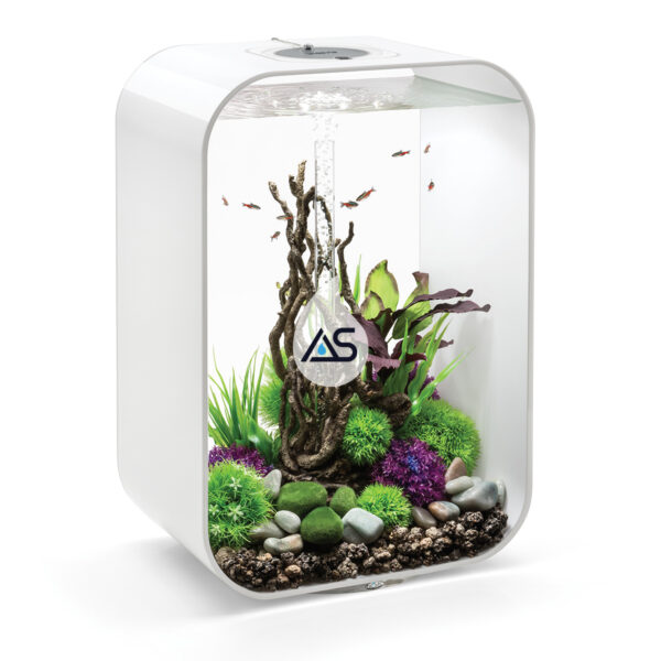 Acquario BiOrb 60 LIFE - immagine 4