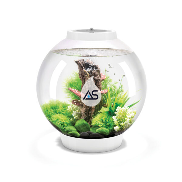 Acquario BiOrb 30 Classic - immagine 2