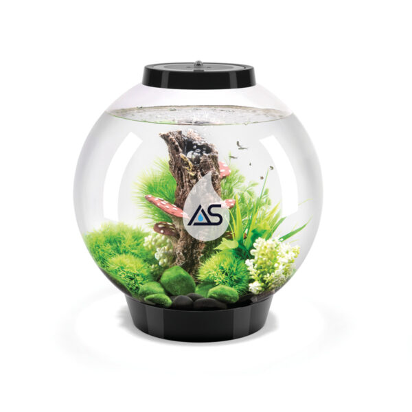 Acquario BiOrb 30 Classic - immagine 4