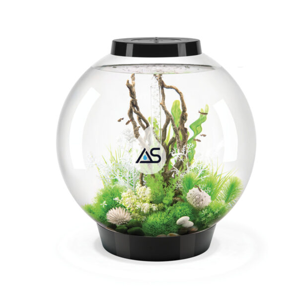 Acquario BiOrb 15 Classic - immagine 5