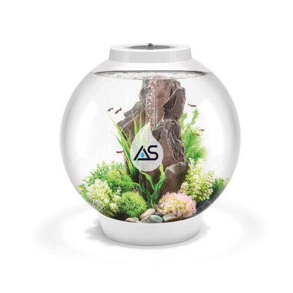 Acquario BiOrb 60 Classic - immagine 4