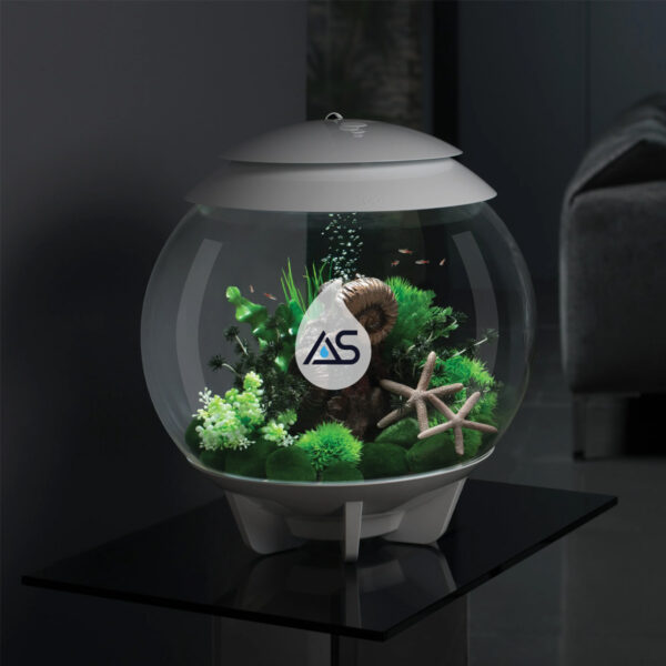 Acquario BiOrb 30 Halo