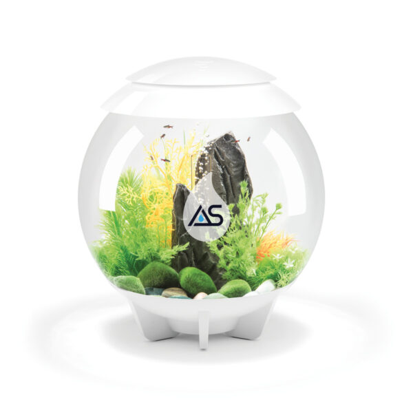 Acquario BiOrb 30 Halo - immagine 3