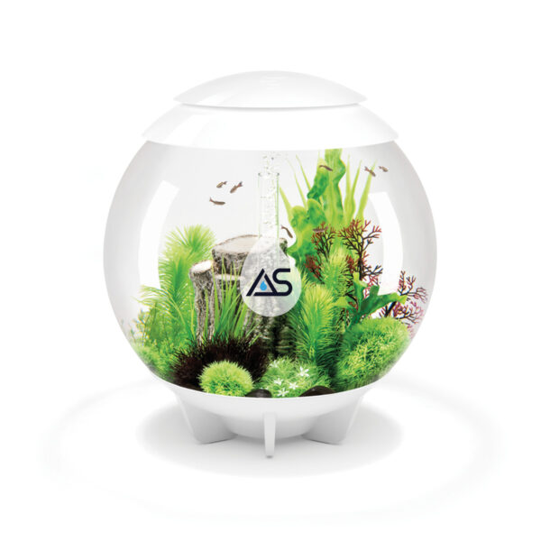 Acquario BiOrb 60 Halo - immagine 2