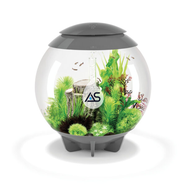 Acquario BiOrb 60 Halo - immagine 3
