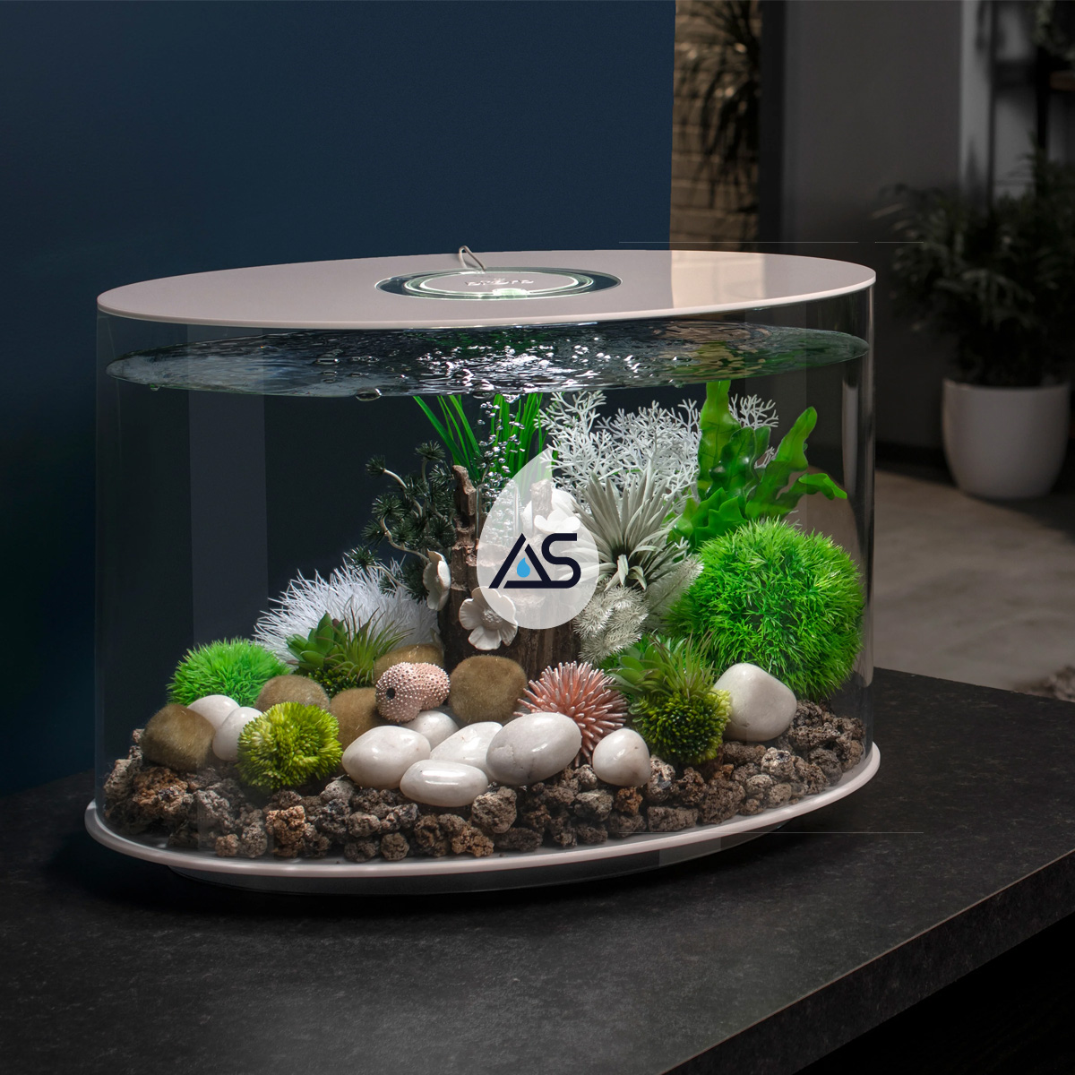 Acquario BiOrb 30 Loop - Acqua Studio Design