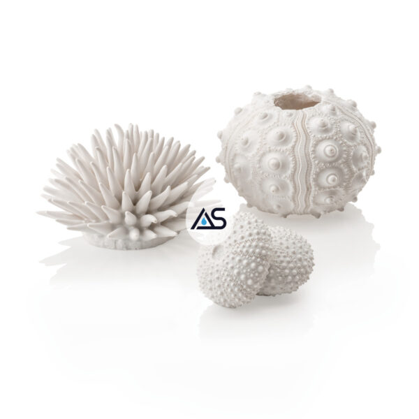 biOrb Set di Ricci di Mare