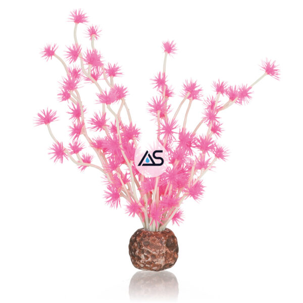 biOrb sfera bonsai